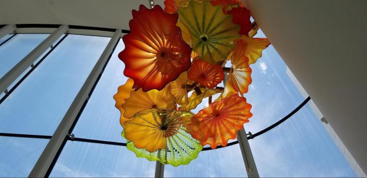 sitting under the flowers