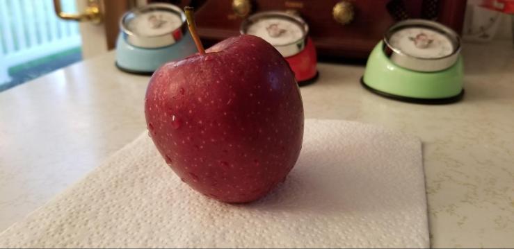 Mr Dewy VonAppleton Esquire